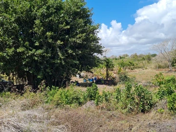 Agricultural Land
