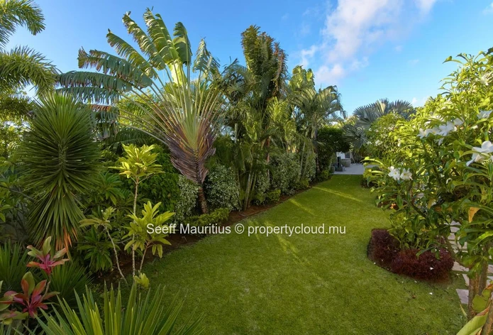 Privacy and Luxury Awaits in This Stunning Mont Mascal Villa