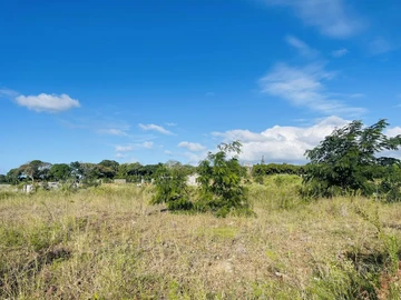 Land