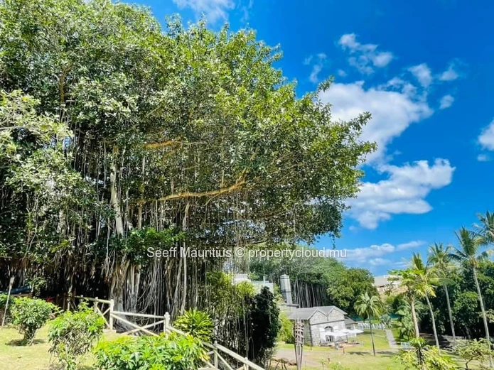 Luxury Coastal Living Linked To A 5-Star Resort