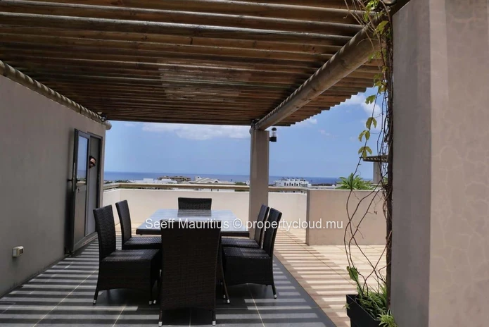 Superbe penthouse avec toit terrasse 