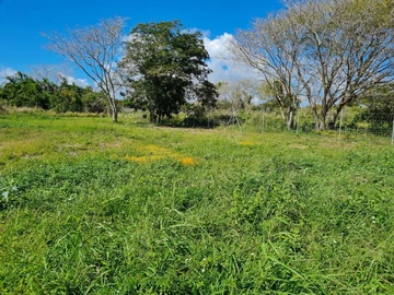 Agricultural Land