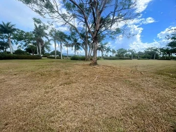 Land