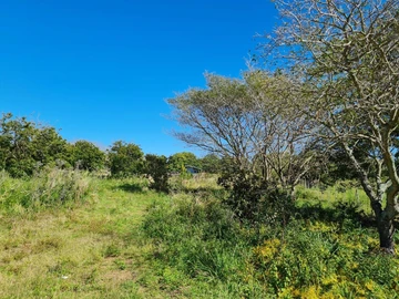 Agricultural Land
