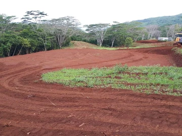 Agricultural Land