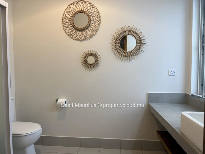 Modern Living in the Heart of Helvetia