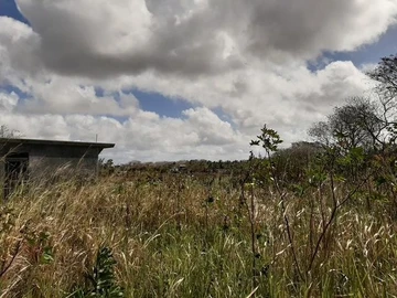 Land