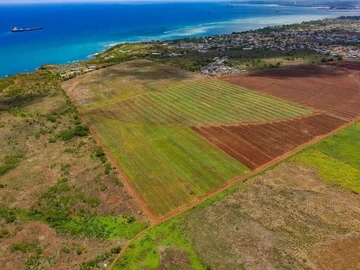 Land