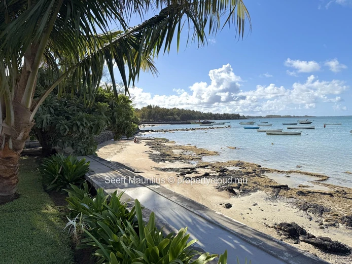 Experience Unrivaled Beachfront Luxury in Roches Noires