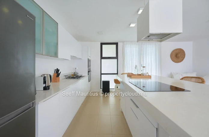 Elegant Mont Choisy Penthouse