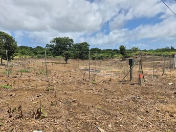 Agricultural Land