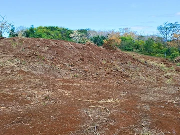 Agricultural Land