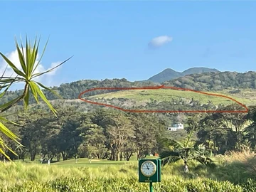 Agricultural Land