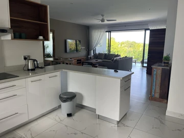 3 Bedroom Penthouse