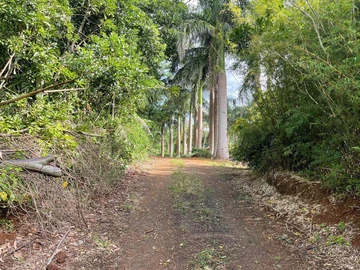 Agricultural Land