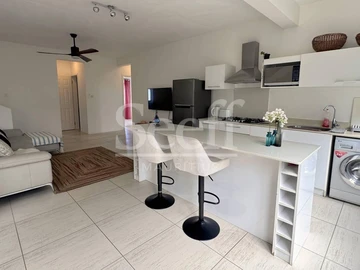 3 Bedroom Penthouse