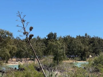 Land