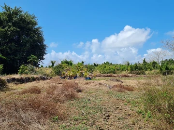Agricultural Land