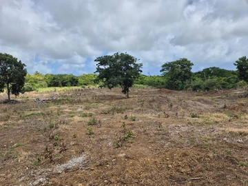 Agricultural Land