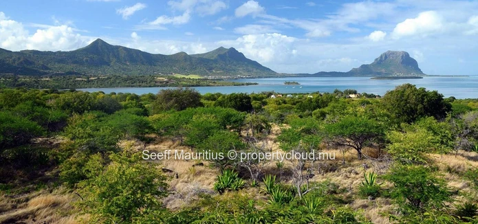 Villa Golf: Immerse in Nature's Splendour