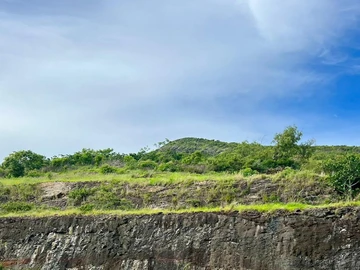 Agricultural Land
