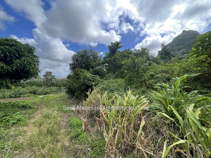 Terrain Agricole avec Vue Imprenable sur les Montagnes – Une Opportunité d'Investissement interessant