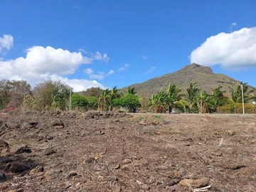 Land
