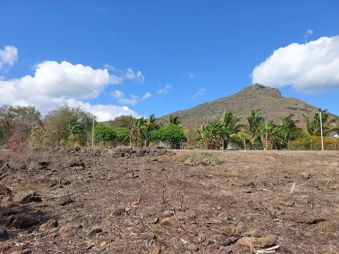 Prime 50-Perch Plot in Exclusive Gated Estate
