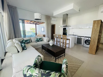 2 Bedroom Penthouse