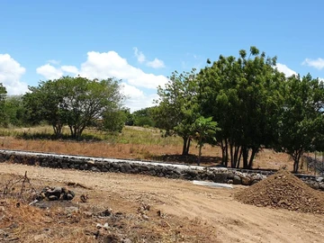 Agricultural Land