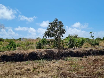 Agricultural Land