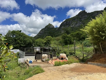 Agricultural Land