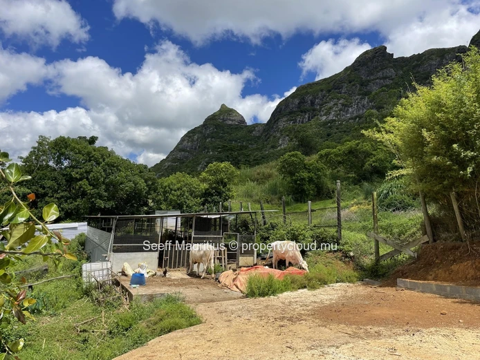 Ferme au Pied de Pieter Both – Un Mélange Unique de Nature et de Confort