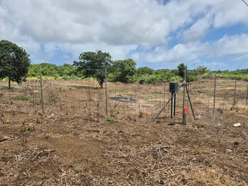 Agricultural Land