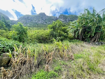 Agricultural Land