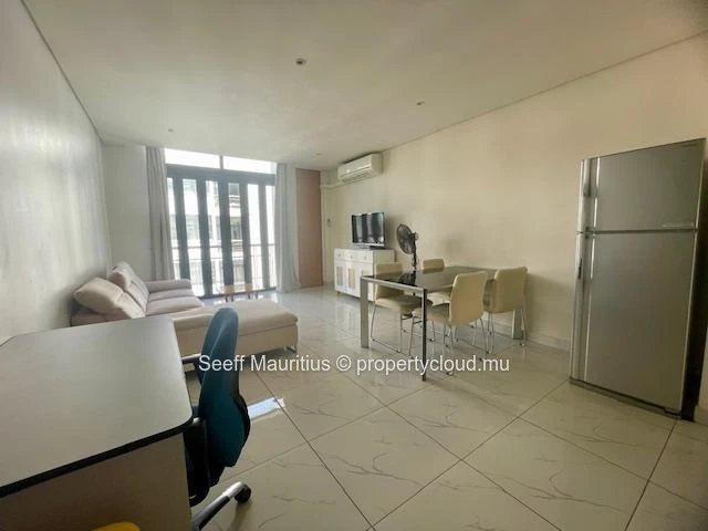 Contemporary Duplex apartment in a Great Location