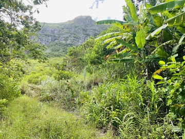 Agricultural Land