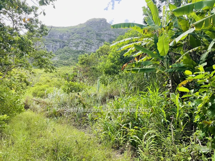 Terrain Agricole avec Vue Imprenable sur les Montagnes – Une Opportunité d'Investissement interessant