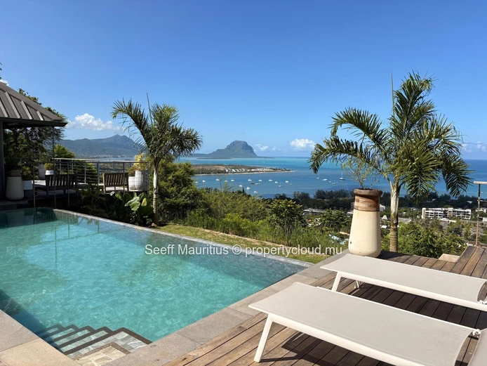 Coastal Elegance Meets Mountain Majesty