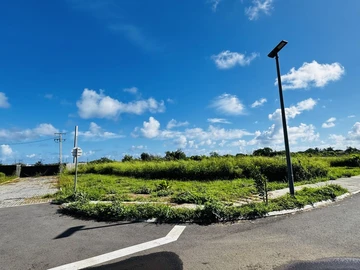 Land