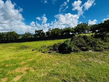 Land