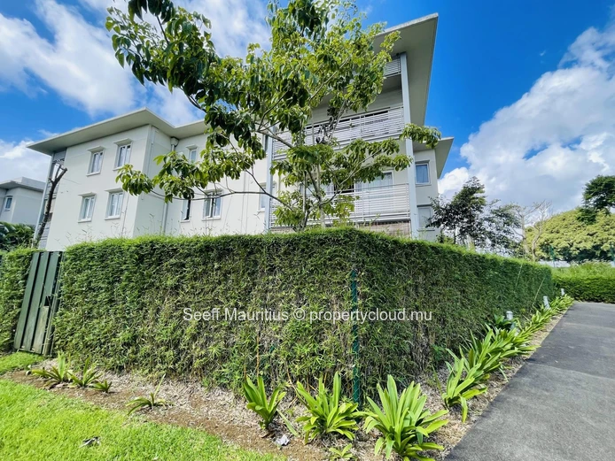 Central Haven: Ideal Apartment Proximity to Schools, Shopping, and Daily Amenities 