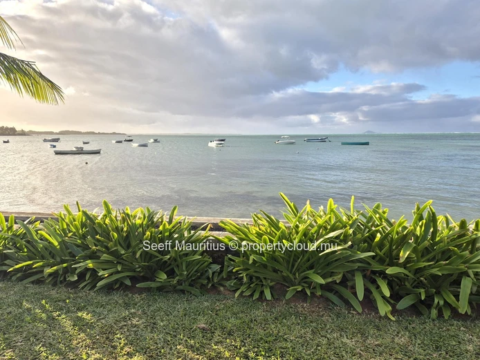 Sea View Apartment in Roches Noires
