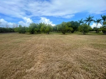 Land