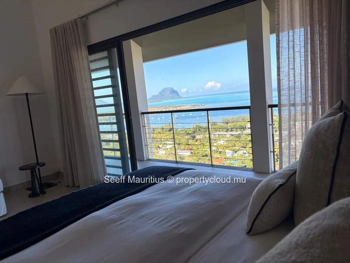 Coastal Elegance Meets Mountain Majesty