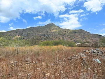 Land