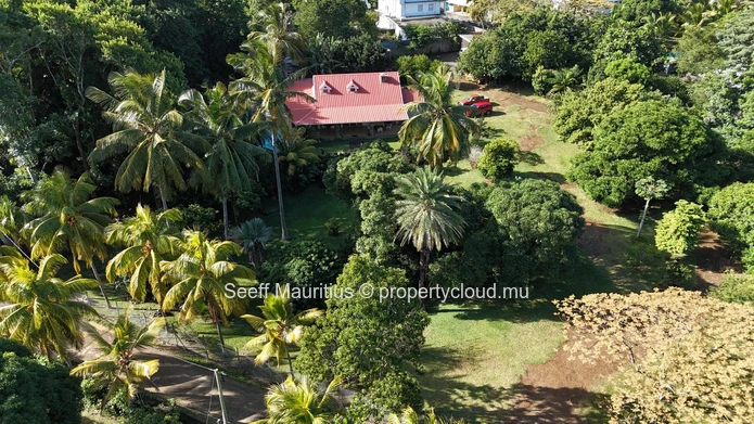 Beautiful, charming house with a magnificent garden