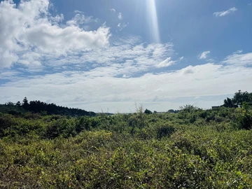 Land
