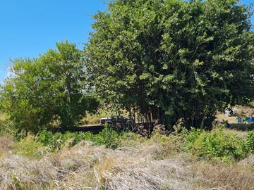 Agricultural Land