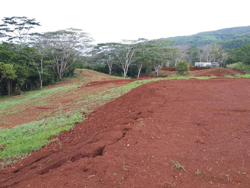 Agricultural Land